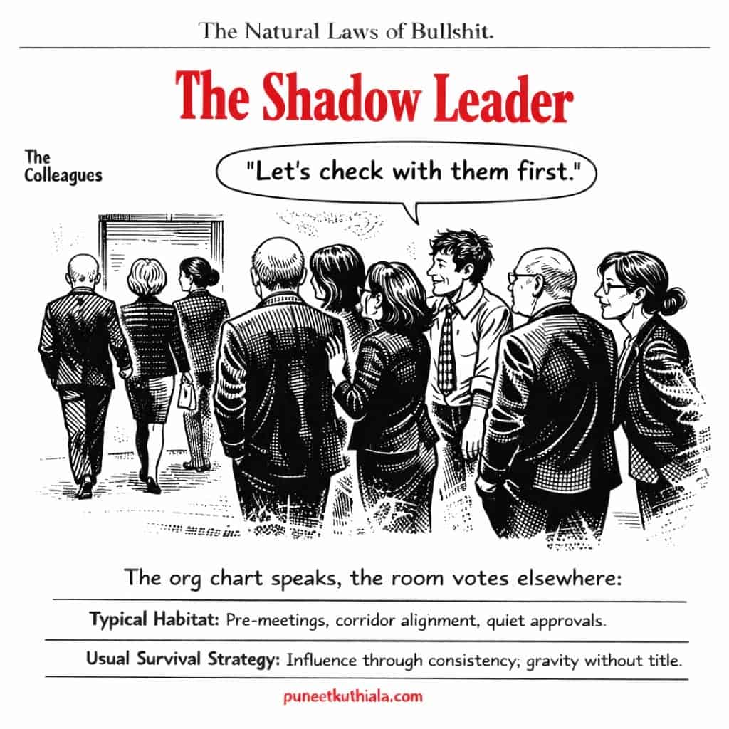 Shadow Leader