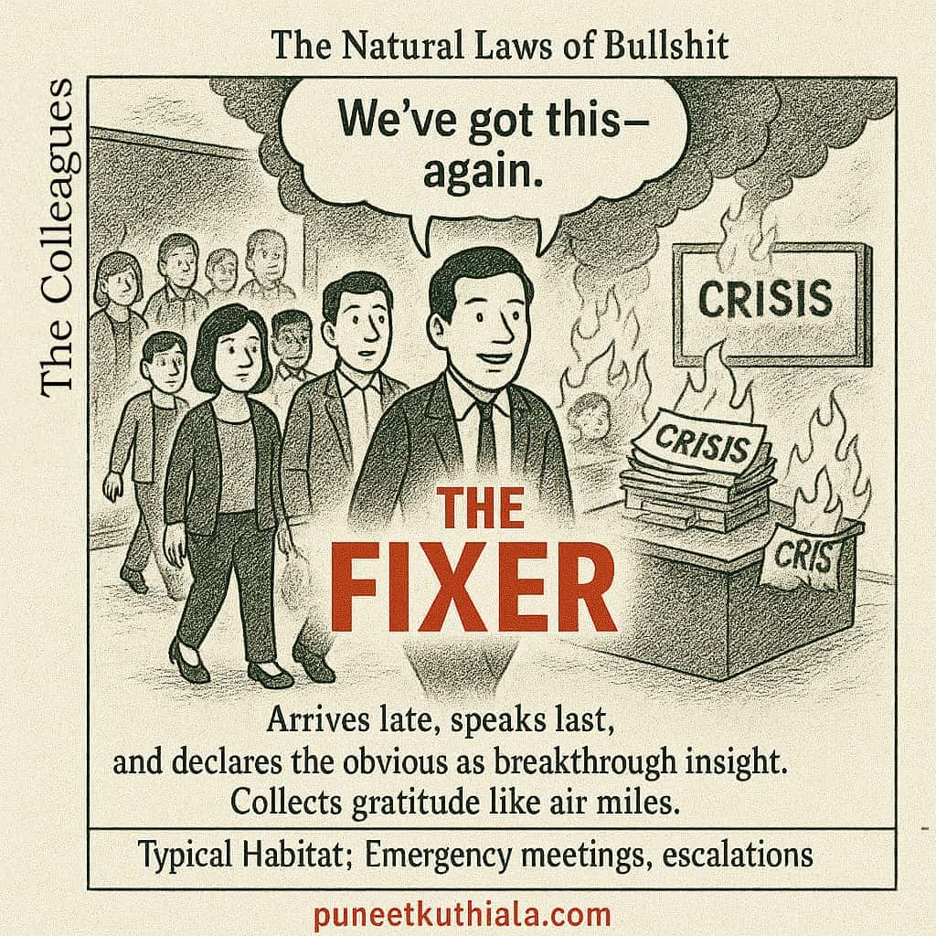 The Fixer
